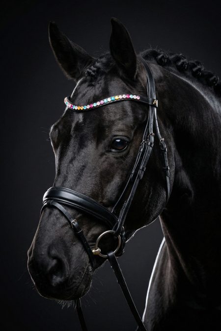 Amiko Browband Crystal Rainbow Bent, Black